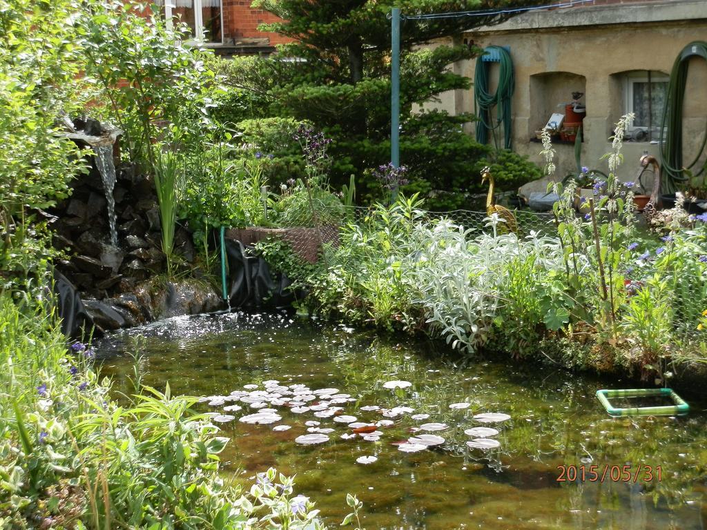Ferienwohnung Fedler Blankenburg  Szoba fotó