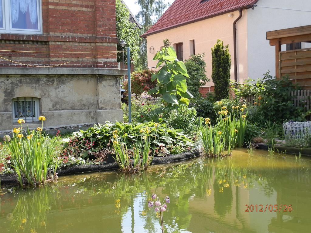 Ferienwohnung Fedler Blankenburg  Szoba fotó